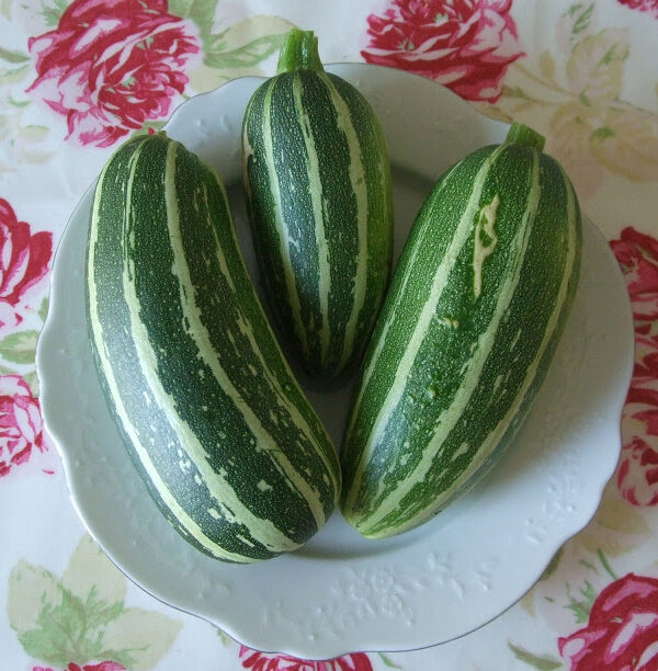 Courgettes/Marrows!