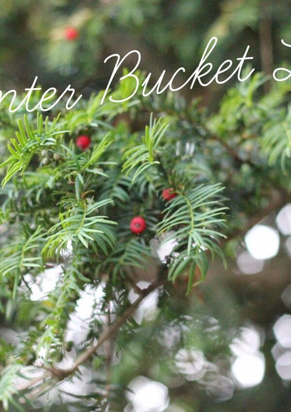 Winter Bucket List