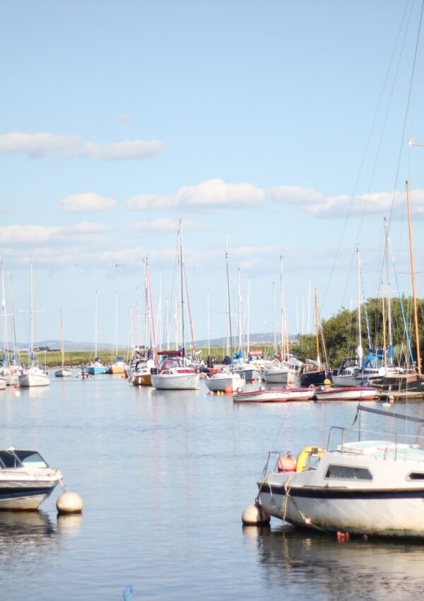 Summer Evening on the Riverbank