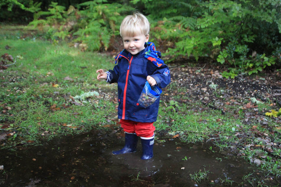 Teddy in a puddle at the arboretum