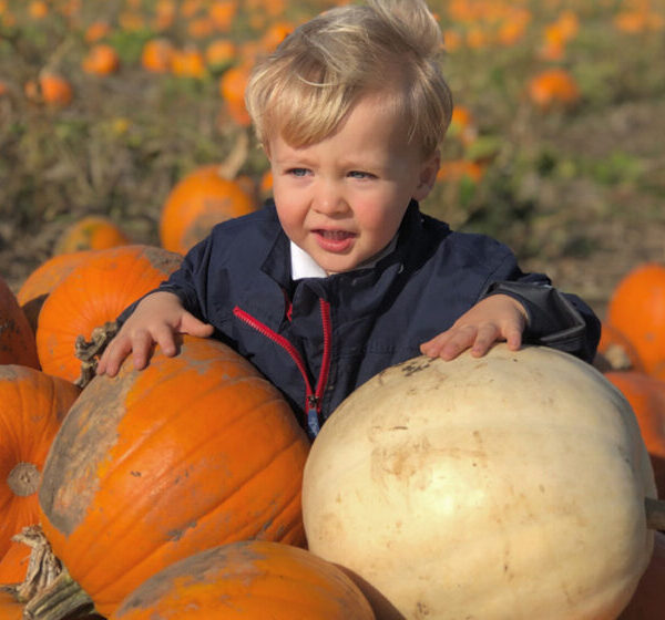 Teddy’s first visit to the Pumpkin Patch